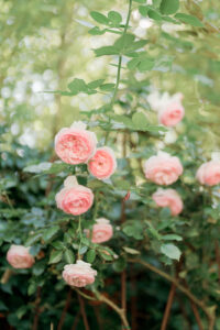 bella luna farms wedding venue