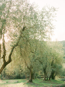 Monteverdi Tuscany grounds