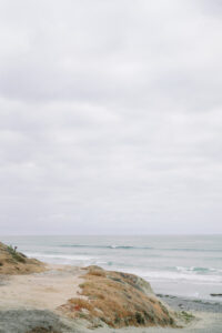 Torrey Pines beach, perfect for a torrey pines engagement