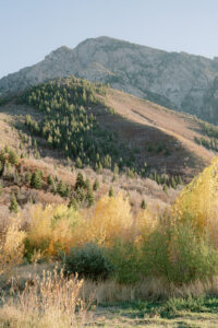 utah mountains
