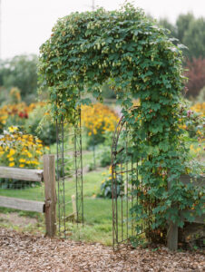 micro wedding venues in washington