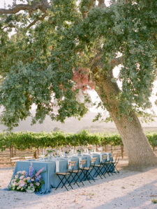 a table set up under a tree at a sunstone winery wedding