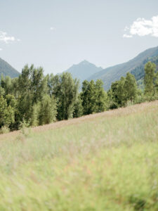 the little nell wedding views