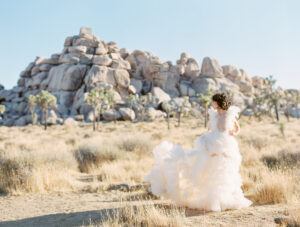 joshua tree adventure elopement