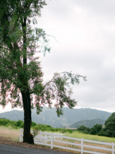 villa and vine wedding venue in California