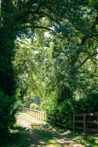 glenn manor wedding