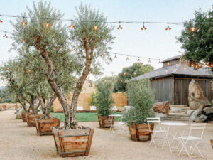 bodega los alamos wedding