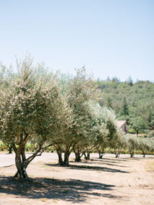 san ysidro ranch wedding
