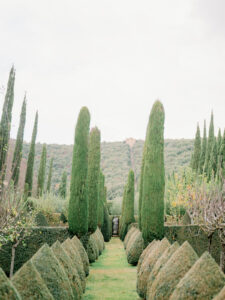 villa cetinale elopement