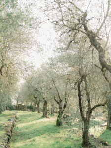 Monteverdi Tuscany wedding in Italy