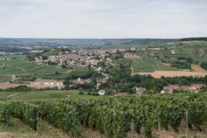 french wedding in champagne france