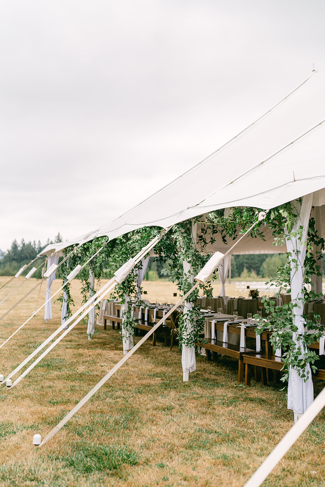 planning a backyard wedding