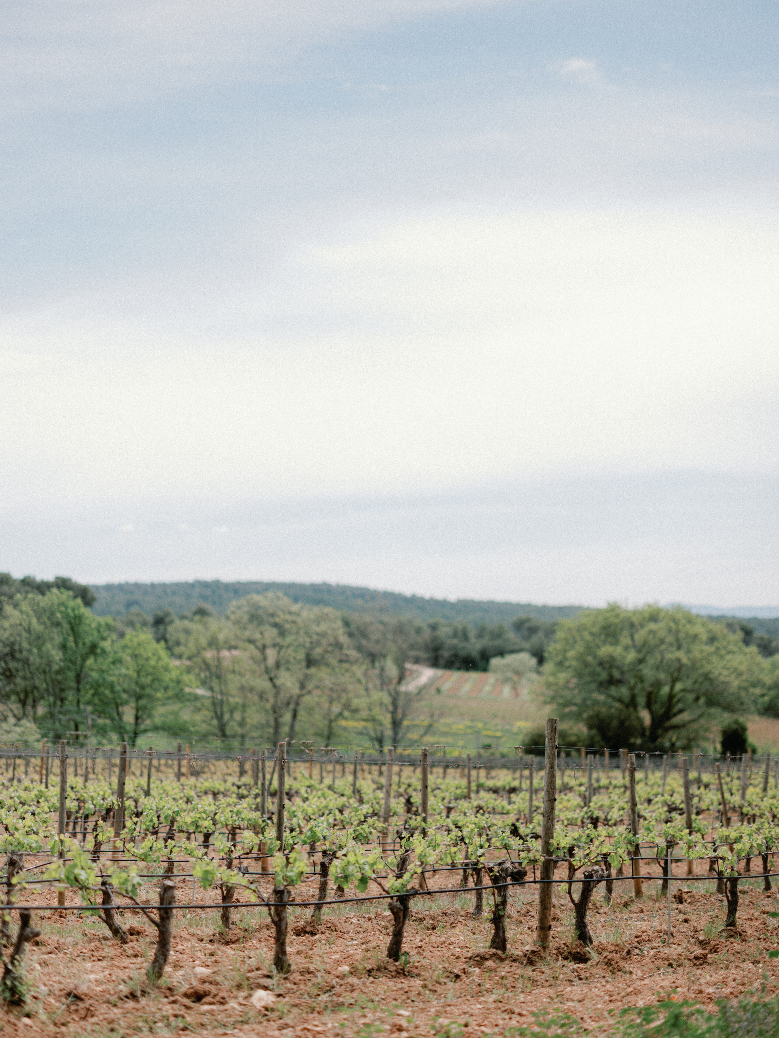 Château La Durantie